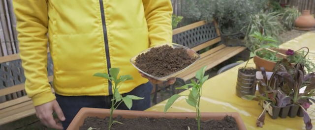 Dagli orti urbani al biogas, la guerra ai rincari