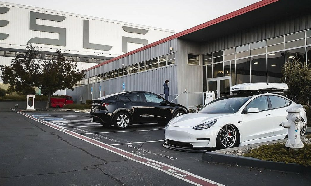 Risultati Q1 di Tesla: Dan Ives resta cauto per l’attuale trimestre