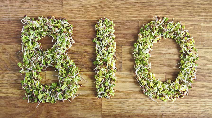 Bio, il comparto che in Italia non conosce crisi