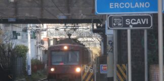 Brucellosi, Rostan (FI): “Bloccare abbattimenti indiscriminati” Presentata interrogazione al ministro Speranza