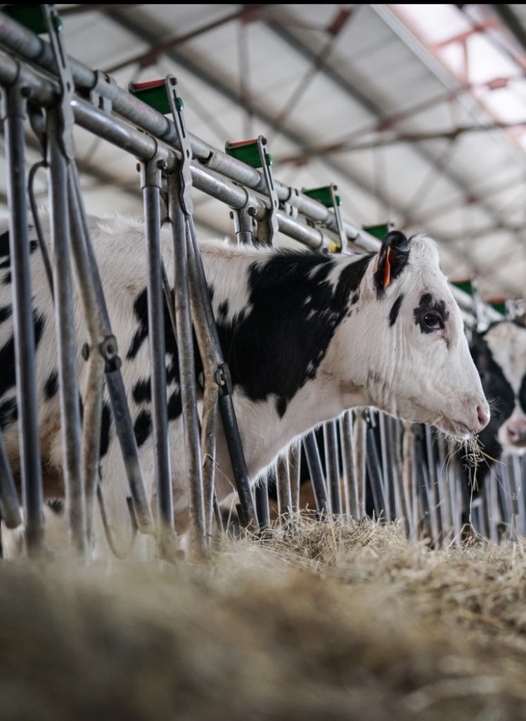 La crescita senza precedenti dei costi agricoli