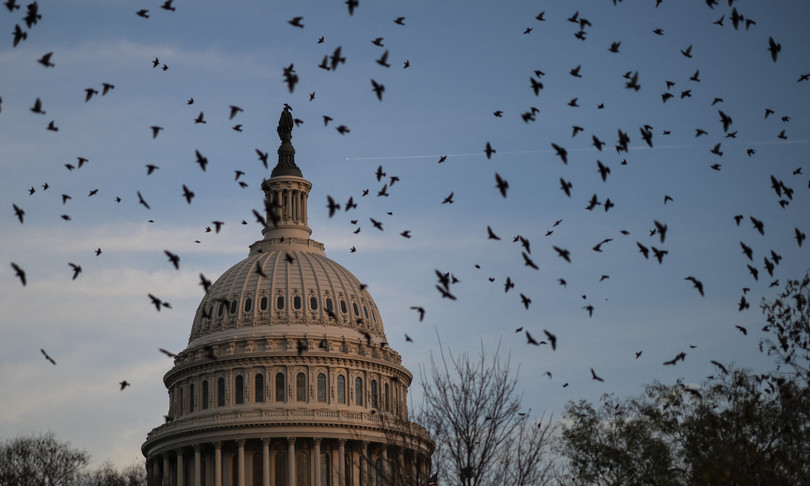 Le Big Tech scendono in campo contro la decisione sull’aborto. Ma sui dati nessuna presa di posizione