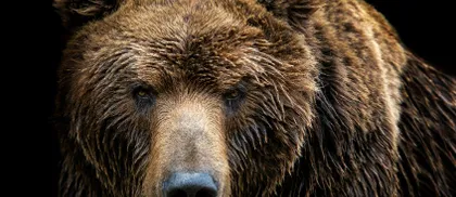 Le crypto hanno un problema di contagio, e non è ancora finita