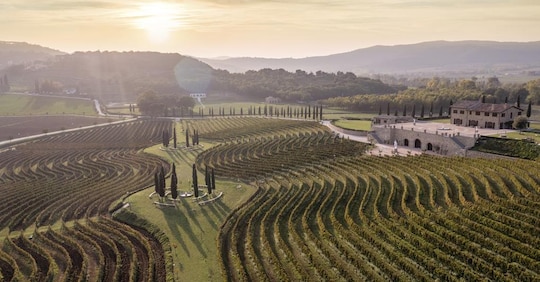 Il primo vino Cucinelli: «Un atto di gratitudine e amore per il territorio»