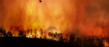 La criptovaluta ha subito un colpo irreparabile alla sua reputazione?