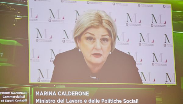 Calderone: “Il governo è pronto a nuove azioni a sostegno professionisti”