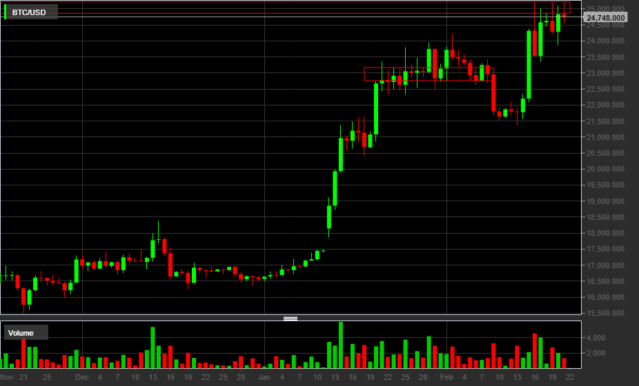 Bitcoin: il prezzo supererà i $25.000?