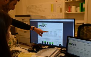 eVISO, ricavi semestrali aumentano a 145 milioni (+47%)