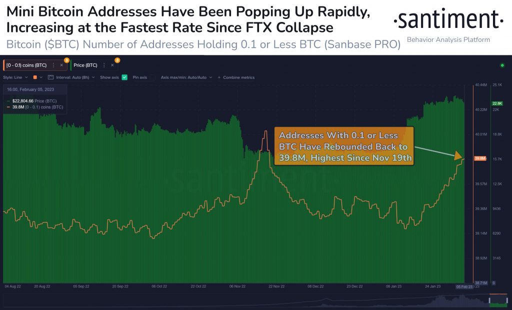 Il prezzo del Bitcoin sopra i 20.000$ genera FOMO e 620.000 nuovi wallet
