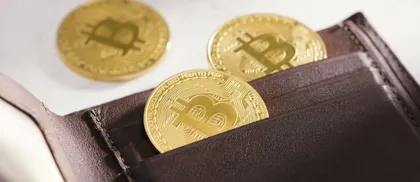 La distribuzione di Bitcoin è rimasta invariata dopo l’FTX, rimane pesante con le balene che dominano