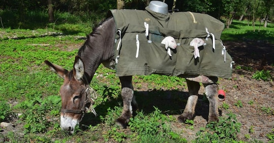 Lana, al via a Bergamo un nuovo progetto per la trasformazione