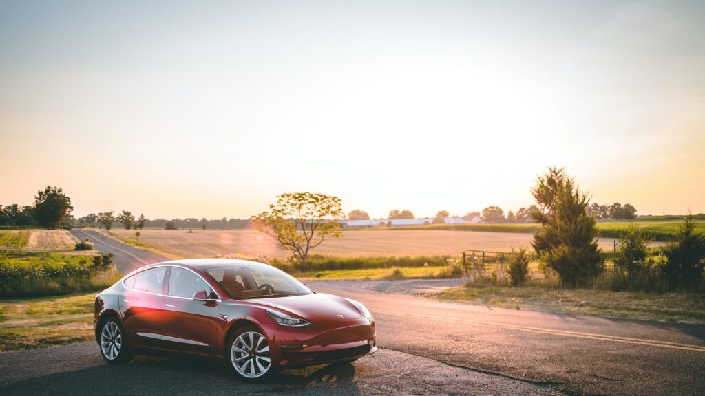 Le azioni Tesla rimangono “molto economiche”, afferma il consulente per gli investimenti