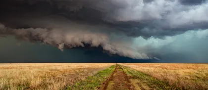 Intervista: il Web3 si sta sgretolando, ma com’è essere alla guida di un’azienda in questo mercato?