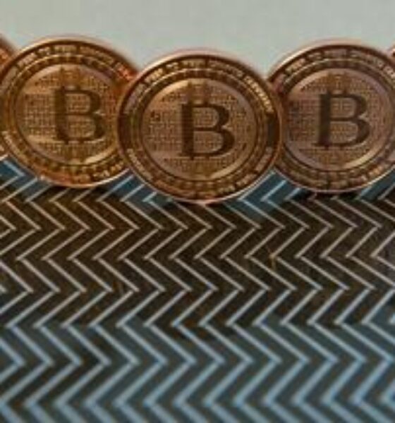 Bitcoin System: guadagna in modo facile e sicuro facendo trading di criptovalute