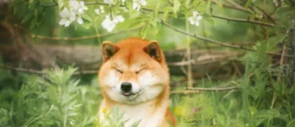 Dove comprare FLOKI mentre cavalca le grandi novità del mercato