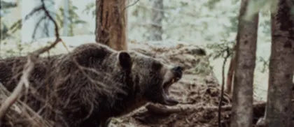 Il Lynch di Comerica si aspetta che l’S&P 500 riprovi i minimi di ottobre