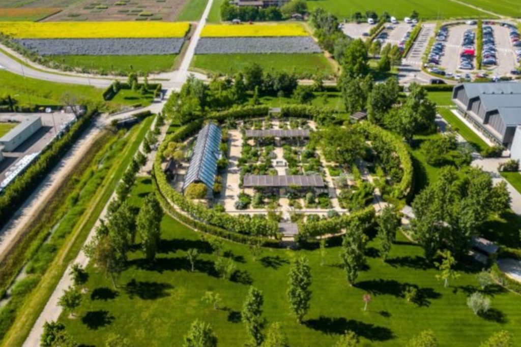 Davines Group e Barilla insieme per l’agricoltura rigenerativa