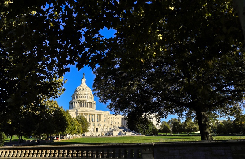 Il leader della maggioranza al Senato degli Stati Uniti spinge per la regolamentazione dell’IA: gli investitori di AltSignals dovrebbero preoccuparsi?