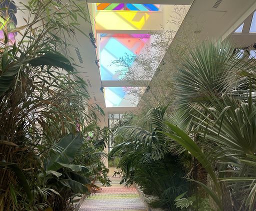 Foresta come spazio d’arte: Fondazione Cartier torna in Triennale