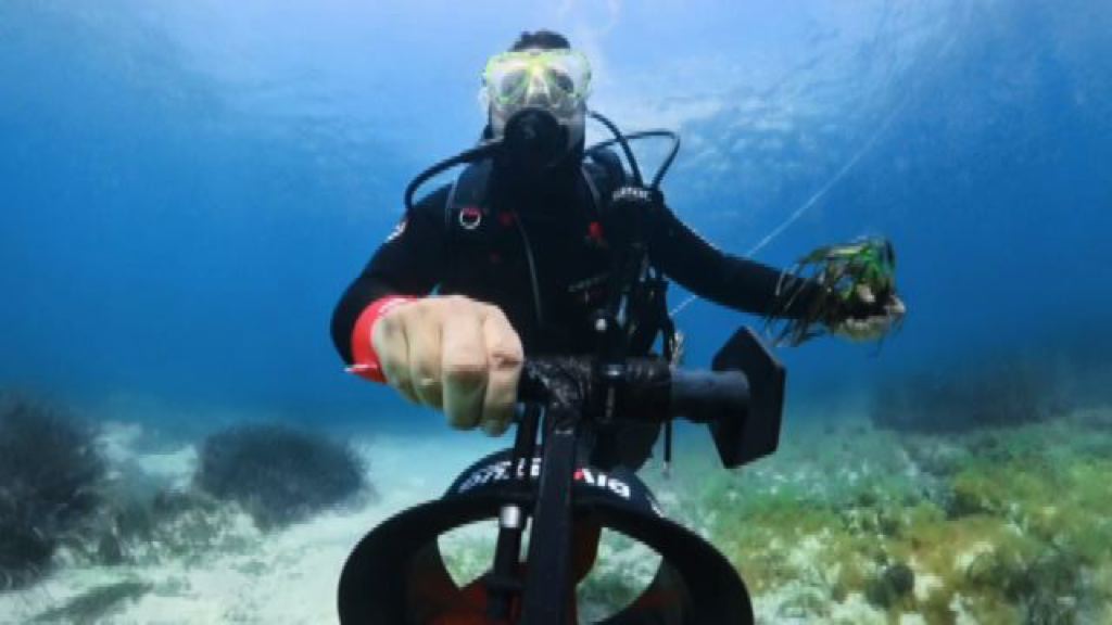 Tre “Summer School” per insegnare ai giovani la tutela del mare