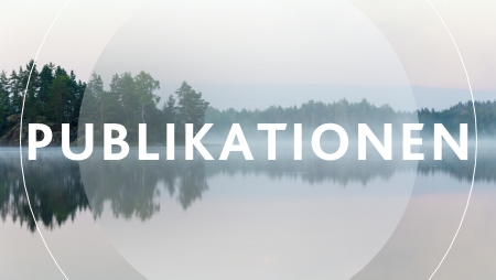 Salzgitter prevede il mancato rinnovo della salvaguardia e il rischio di riapplicazione della Sezione 232