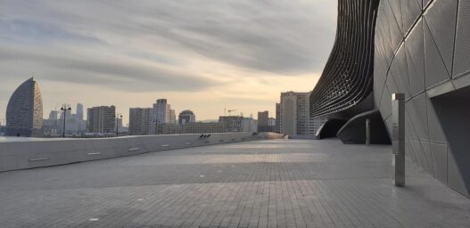 COP29, una balena spiaggiata sul tema dei finanziamenti