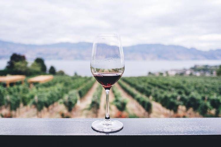 Mercato vino: tra dazi e nuove generazioni 2 mld a rischio