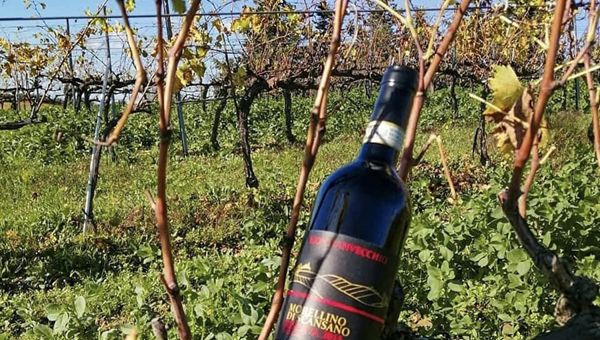 Vinitaly: Intesa Sp, ‘Italia prima in produzione mondiale a quota 41 mln ettolitri